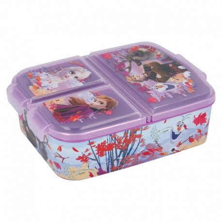 MULTI COMPARTMENT SANDWICH BOX FROZEN 2