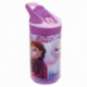 TRITAN PREMIUM BOTTLE 480 ML | FROZEN 2