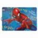EASY  PLACEMAT SPIDERMAN GRAFFITI