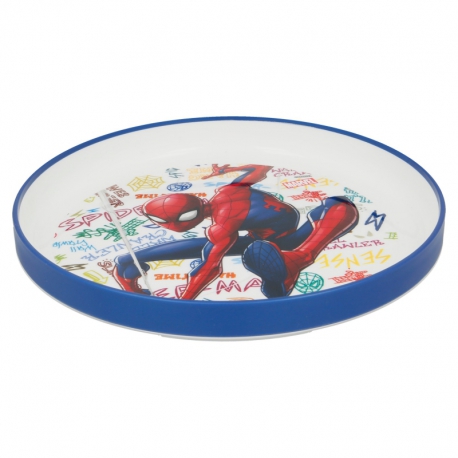BICOLOR PREMIUM PLATE SPIDERMAN GRAFFITI