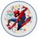 BICOLOR PREMIUM PLATE SPIDERMAN GRAFFITI